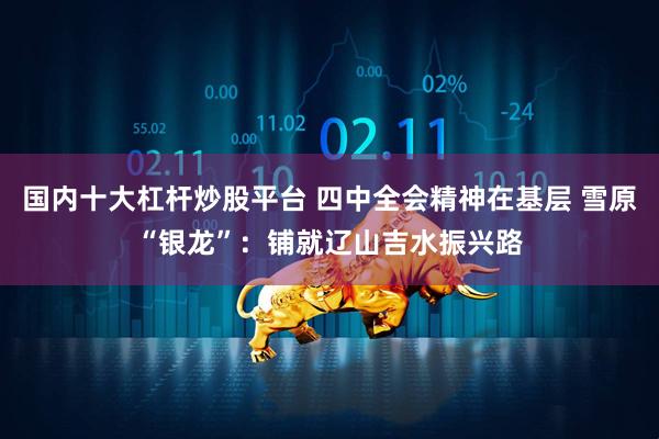 国内十大杠杆炒股平台 四中全会精神在基层 雪原“银龙”：铺就辽山吉水振兴路